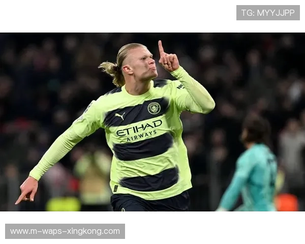 拜仁准备签下哈兰德式的统治级前锋冲击欧洲最高荣誉